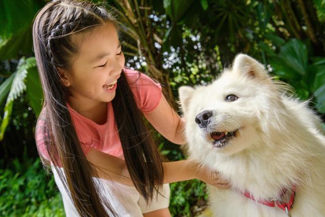 diagnostico cardiologia