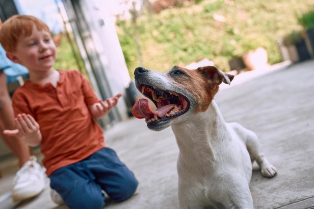 APP My Pets Heart2heart