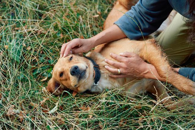 epilepsia y fobia a los ruidos
